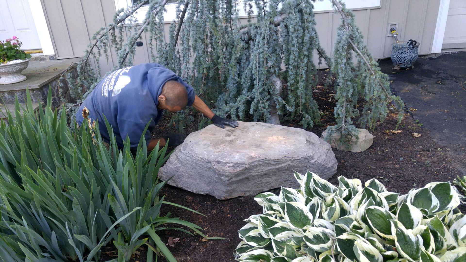 Hardscaping Tree Removal Gaithersburg Landscaping