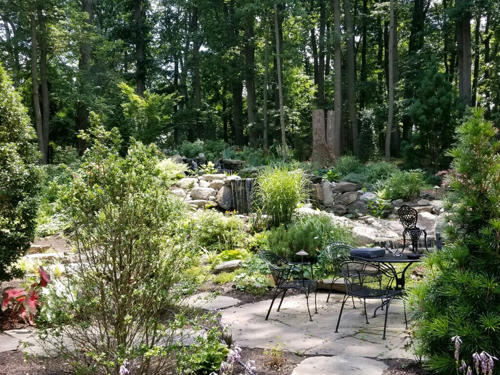 Landscape Gaithersburg Tree Removal Gaithersburg Landscaping