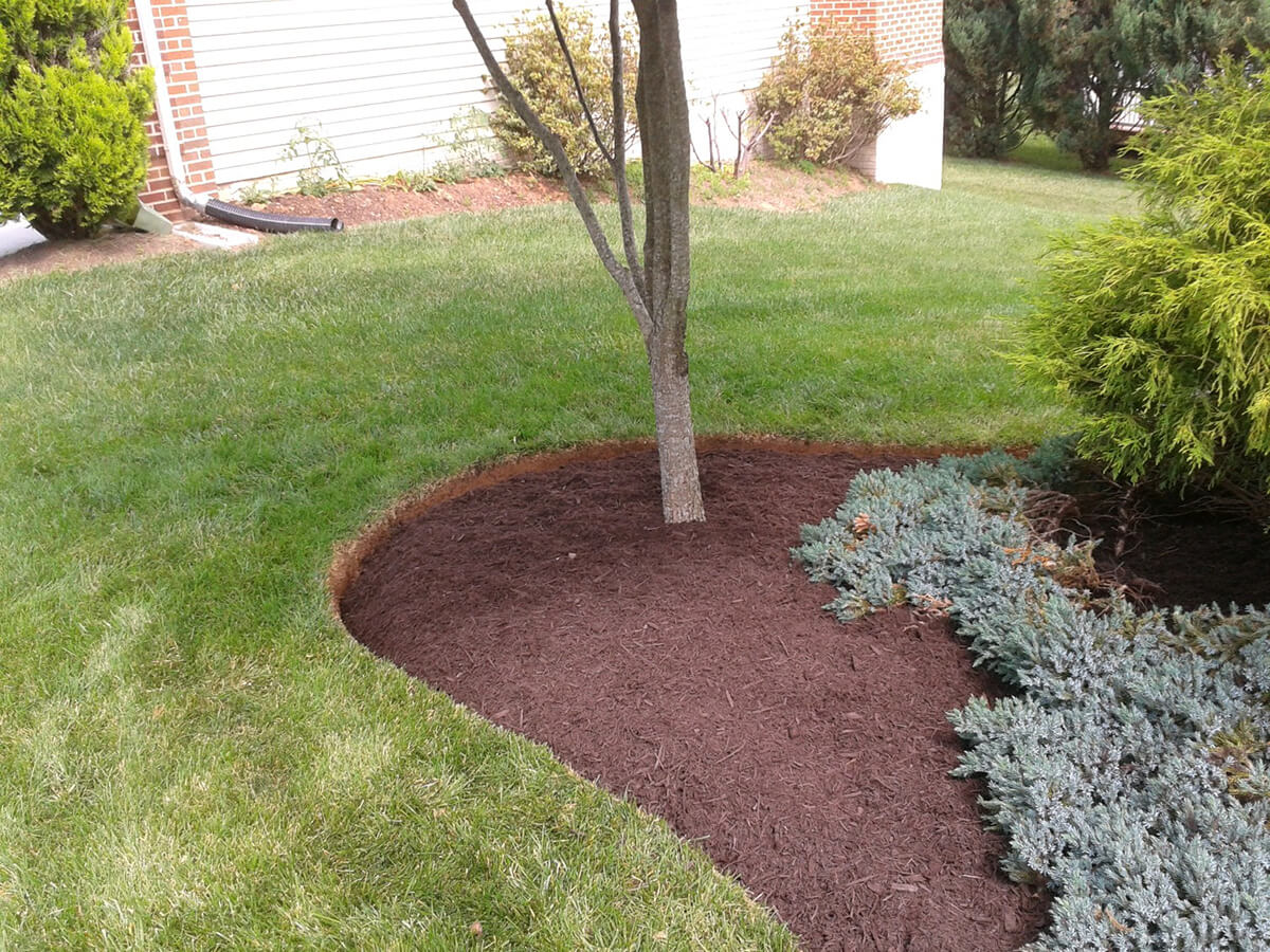 Grounds Management Tree Removal Gaithersburg Landscaping