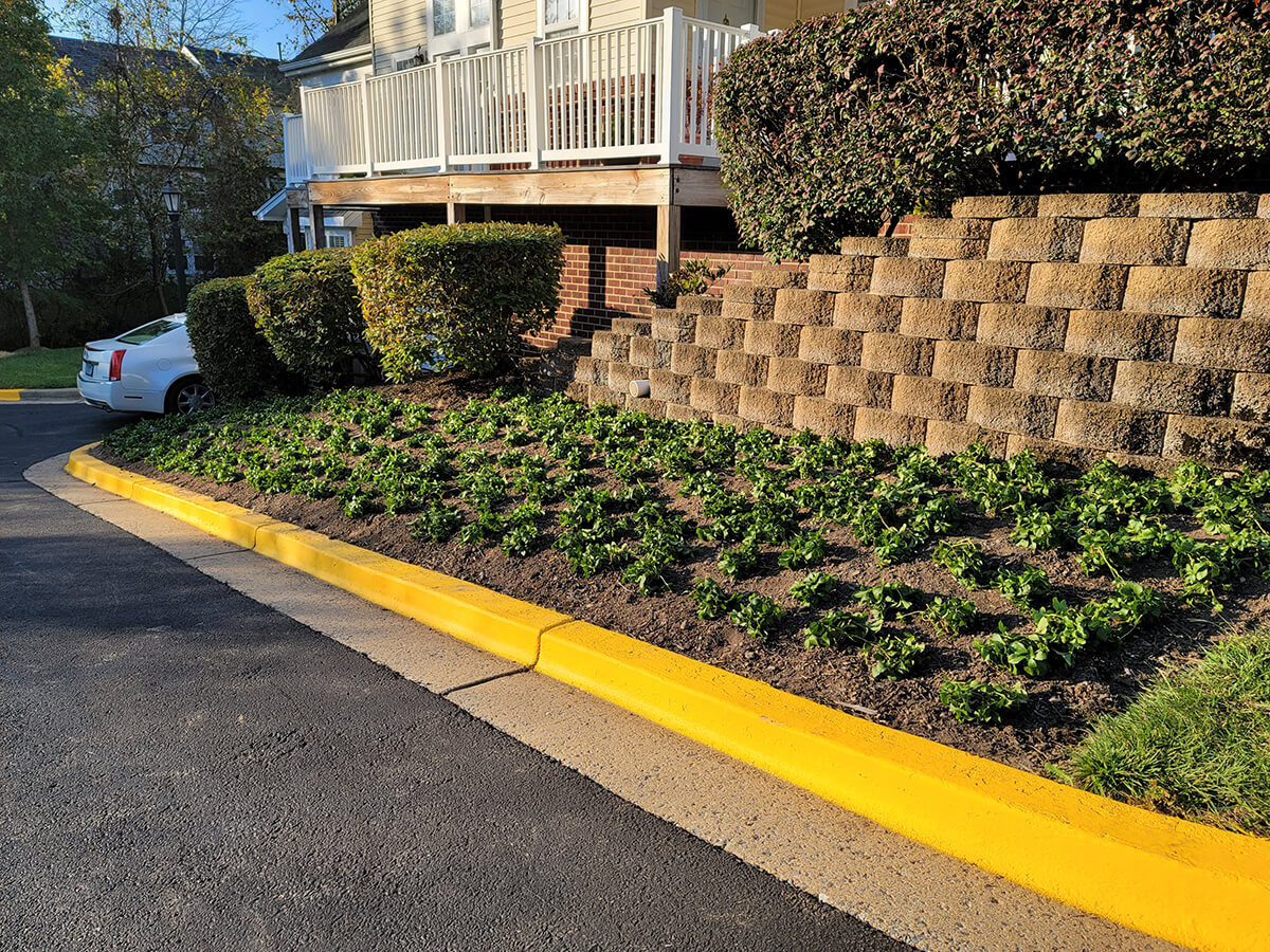 Grounds Management Tree Removal Gaithersburg Landscaping