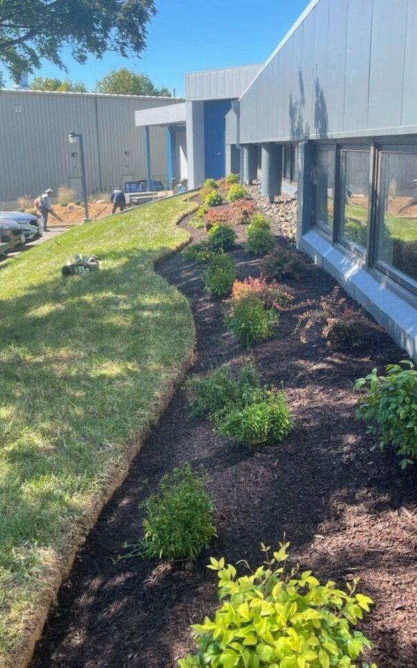 Landscaping Services Tree Removal Gaithersburg Landscaping