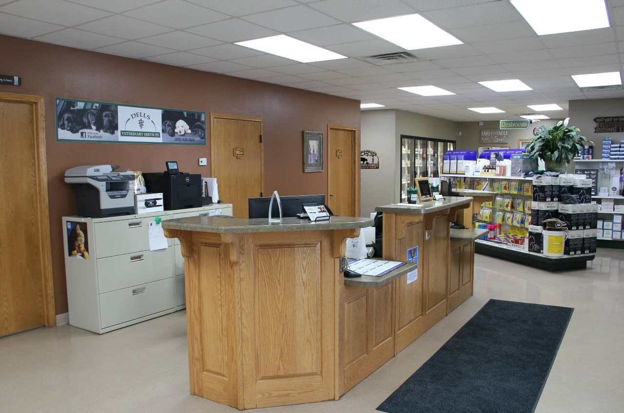 Take a Tour of our Dells Veterinary Clinic!