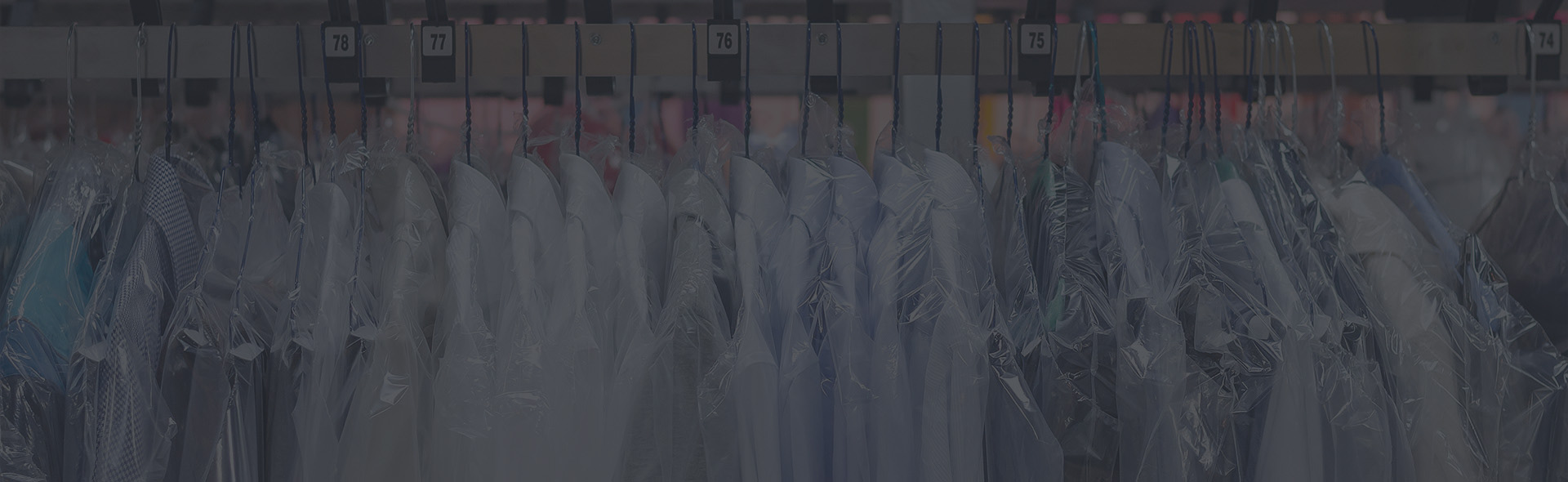 Del Monte Contact Us