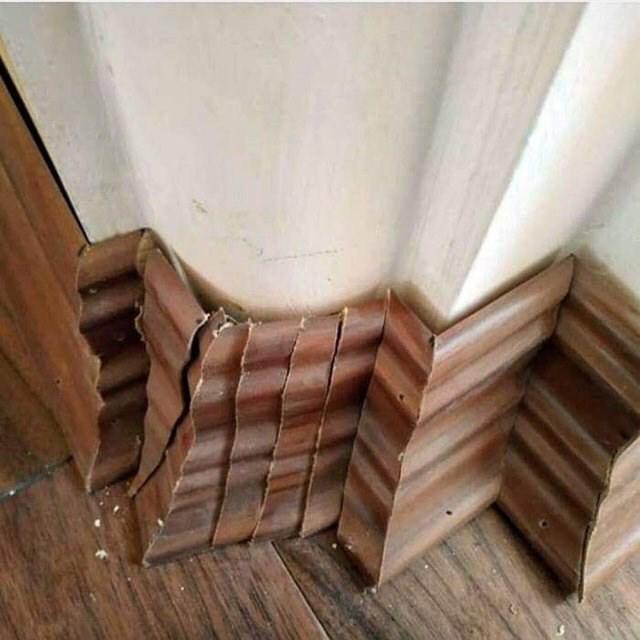 The Worst Home Renovations Revealed Delonix Homes