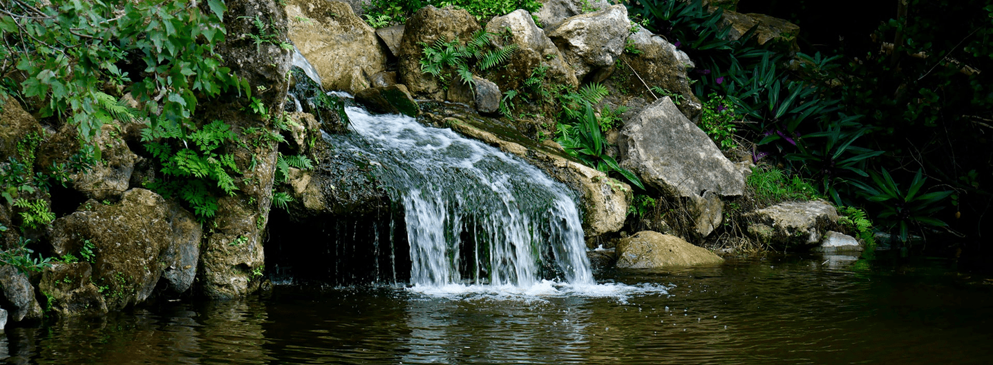 Delray Beach Golf Cart Rental Golf Cart Rentals Golf Carts For Rent