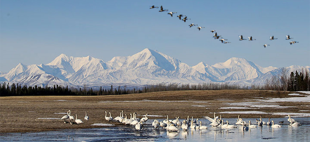 Delta Junction Hotel Image 1 Delta