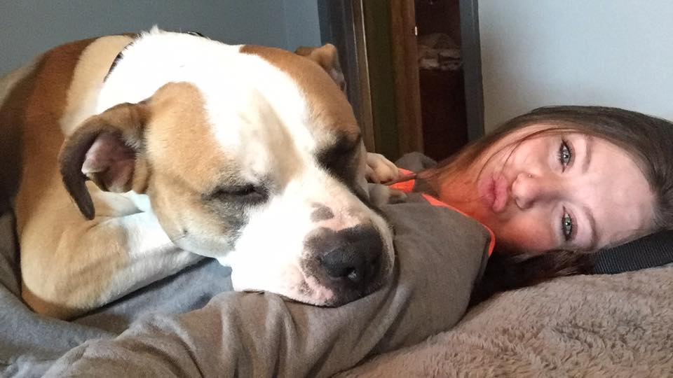 Happy Tails Delta Animal Shelter Escanaba Michigan