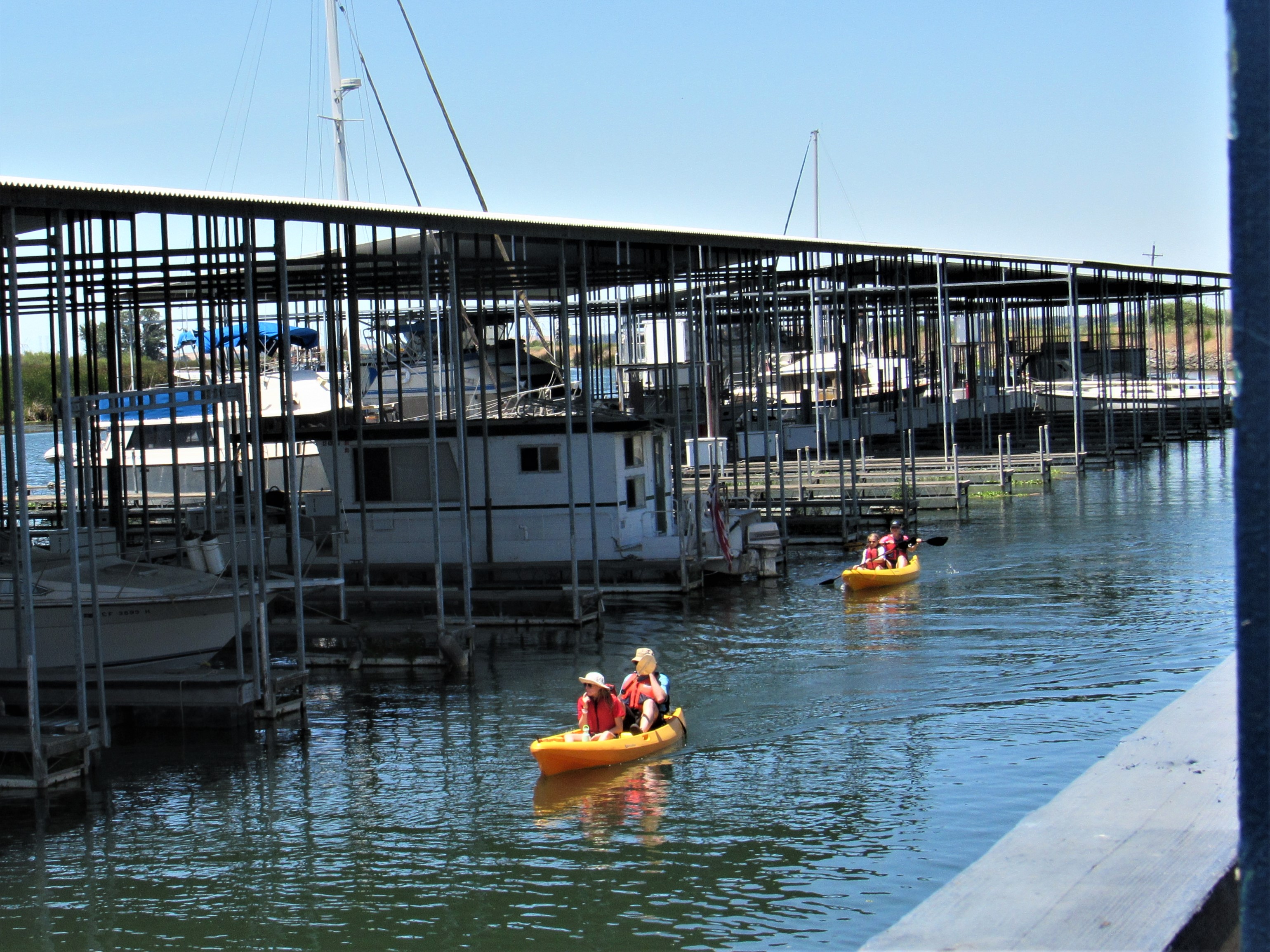 Marina Life Delta Kayak Rentals Delta Bay