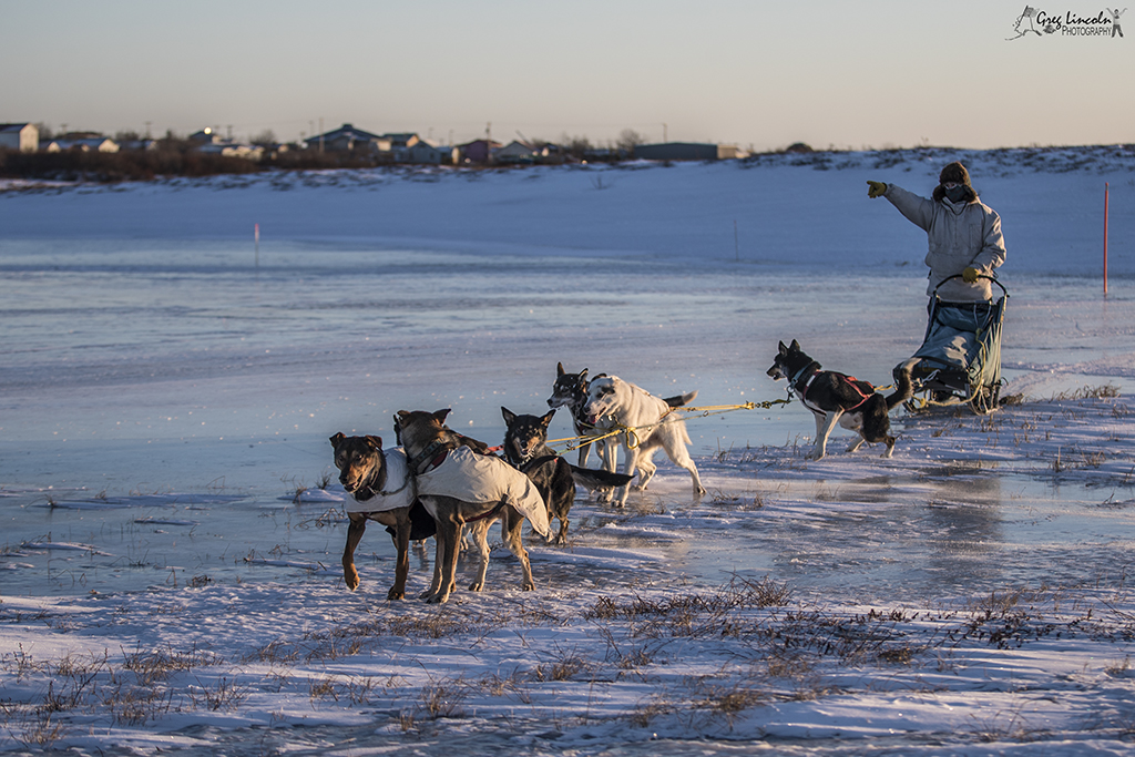Akiak Dash Start Photos The Delta Discovery, Inc.