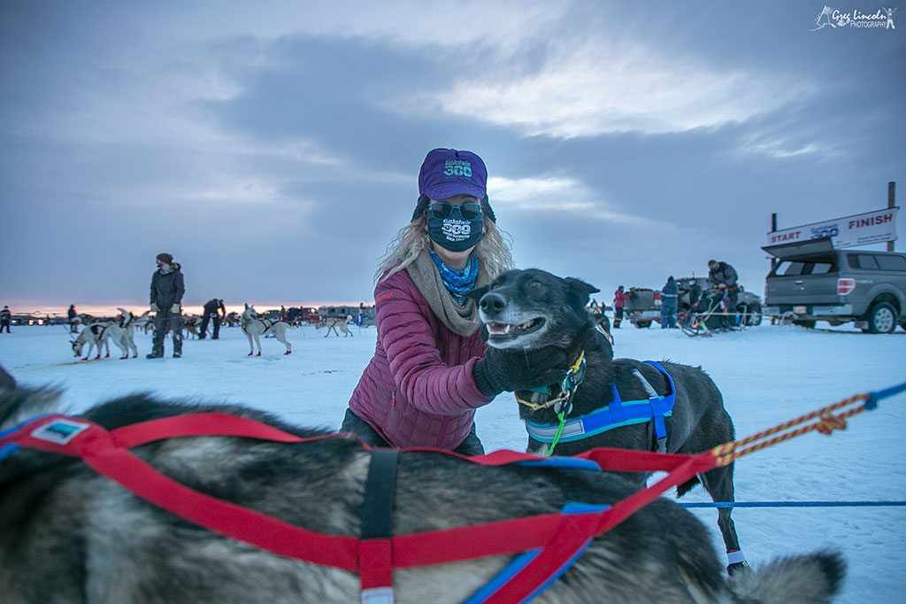 42nd Kuskokwim 300 Sled Dog Race is underway in Bethel The Delta