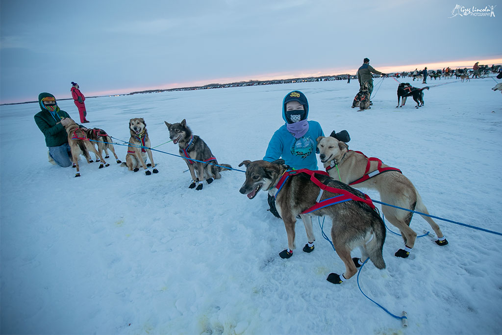 42nd Kuskokwim 300 Sled Dog Race is underway in Bethel The Delta