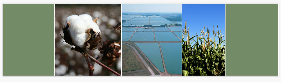 Delta Electric Power Association