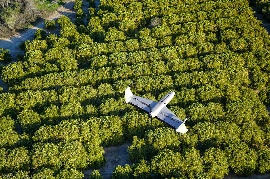 Delta Growers, Inc. Agricultural Chemical, Fertilizer and PCA Service