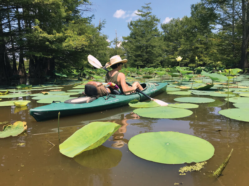 Paddling the Swamplands of the Mississippi Delta Delta Magazine
