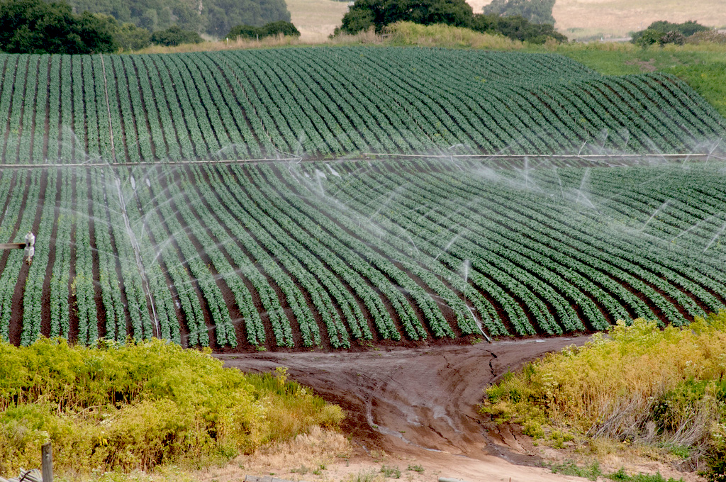 Rain Water Harvesting & Irrigation Delta P Carver