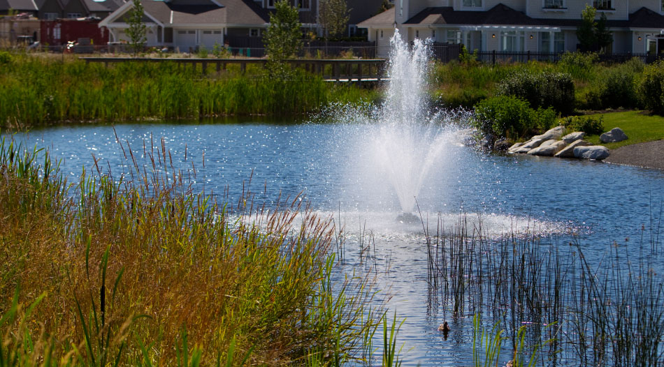 Gallery Local Area Images Delta Rise HighRise Homes in North Delta