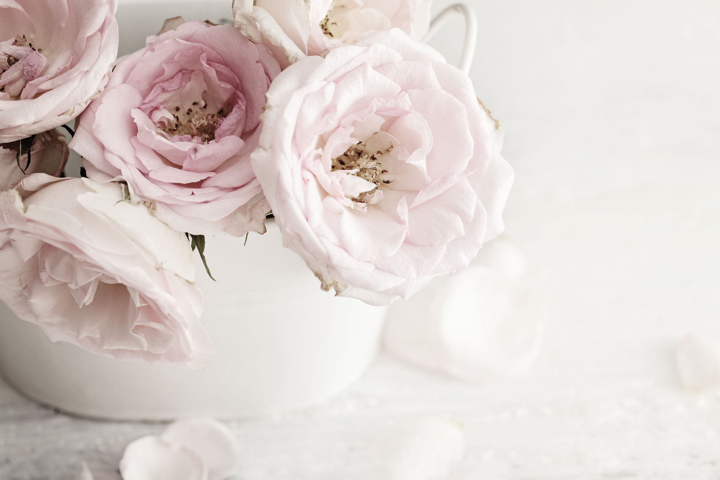 Wedding Photography Packages DeLuca Photography Akron, Ohio