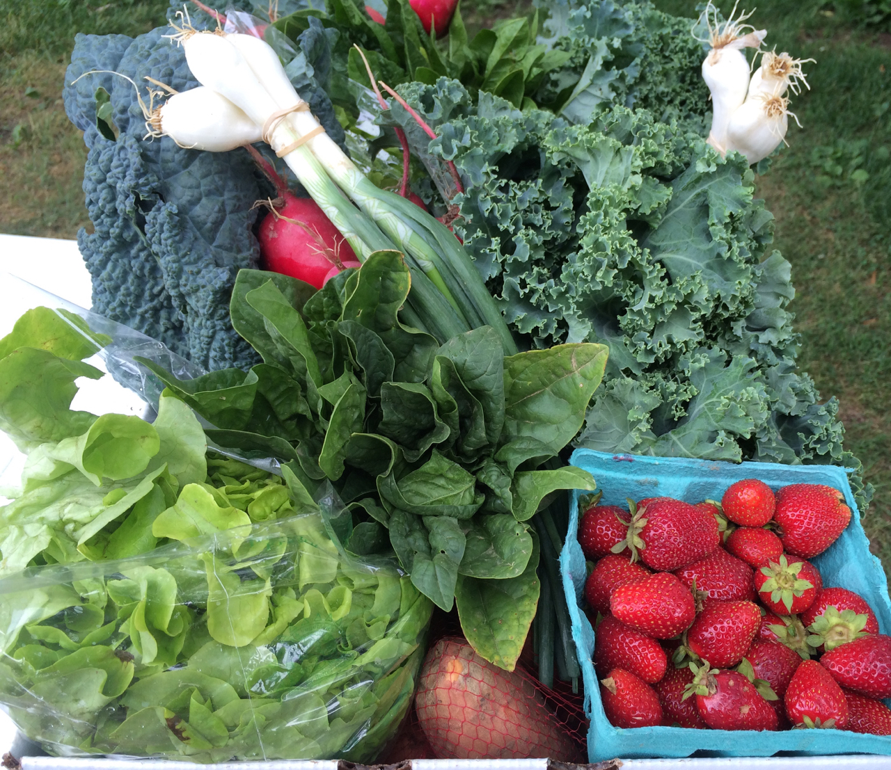 Community Supported Agriculture Delvin Farms