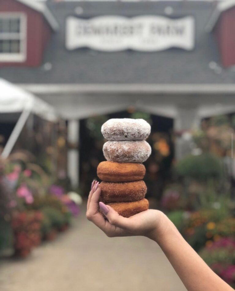 About & Store Demarest Farms