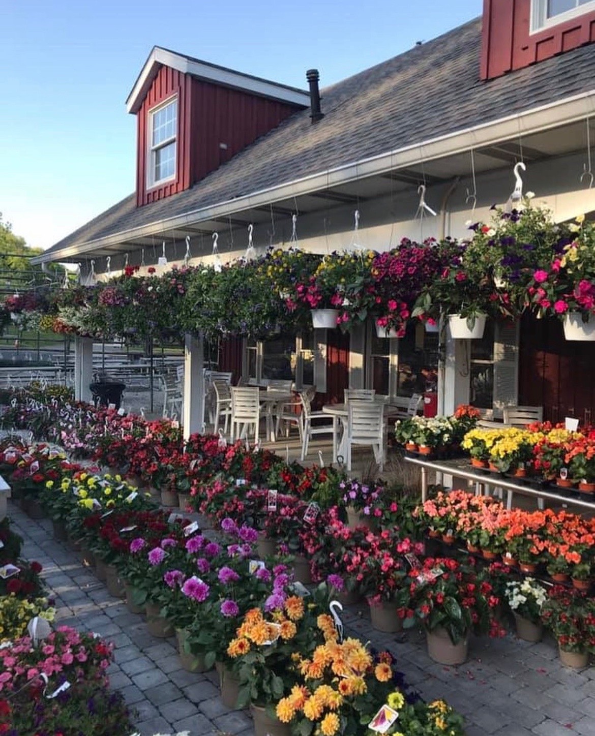 Contact Us Demarest Farms