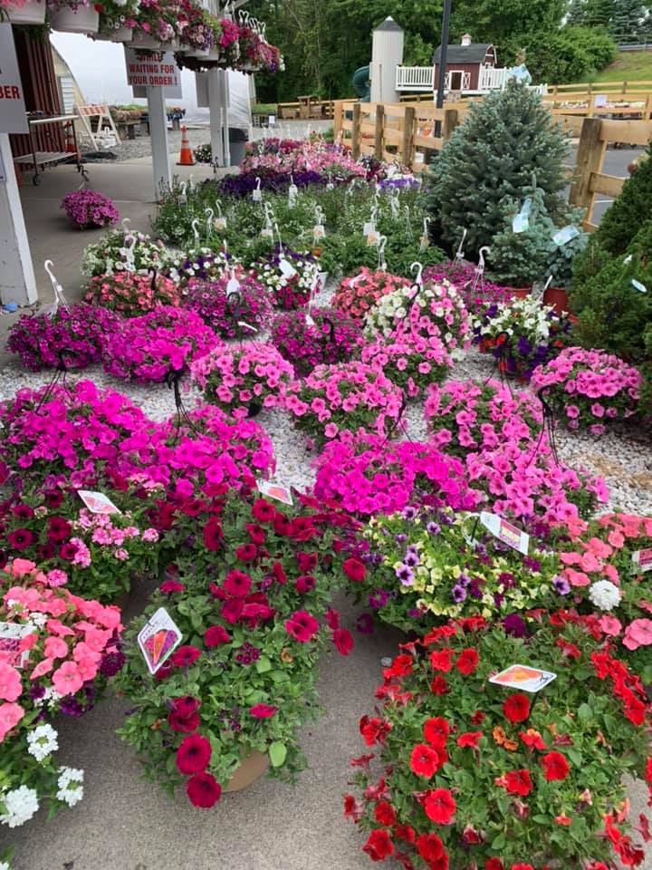 About & Store Demarest Farms