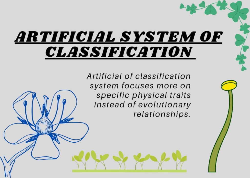 ARTIFICIAL SYSTEM OF CLASSIFICATION DEMIURGE ARTIFICIAL SYSTEM OF
