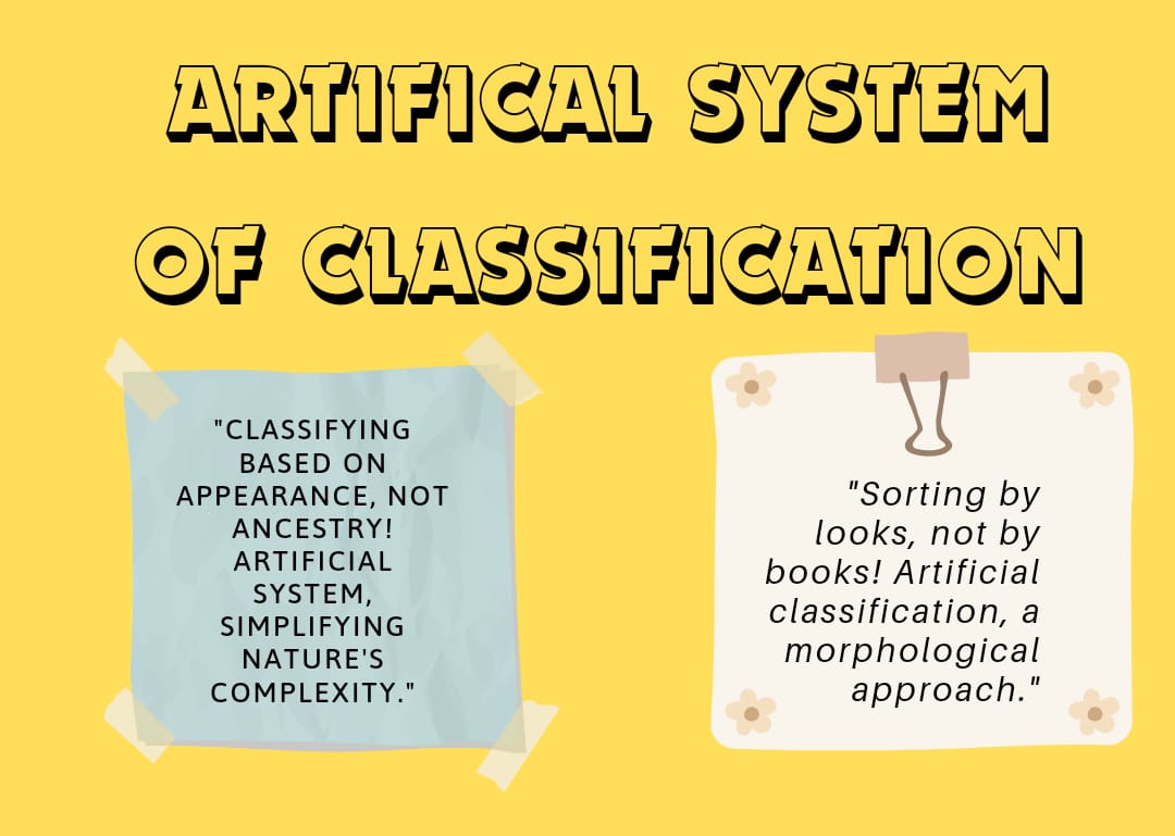 ARTIFICIAL SYSTEM OF CLASSIFICATION DEMIURGE ARTIFICIAL SYSTEM OF