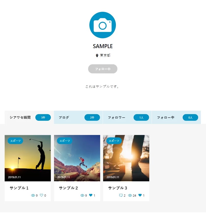 デザイン性豊かな固定ページをサクッと作成 WordPressテーマ「ZOOMY(tcd067)」