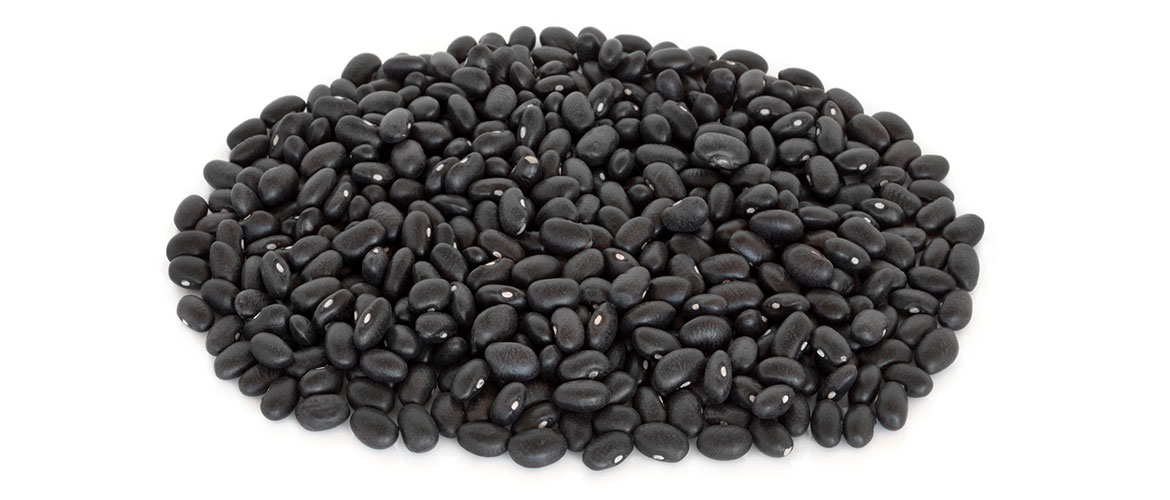 BLACK TURTLE BEANS Demos Ciclitira