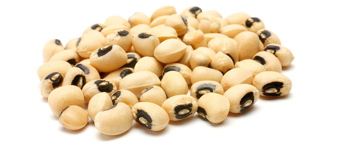 BLACK EYE BEANS Demos Ciclitira