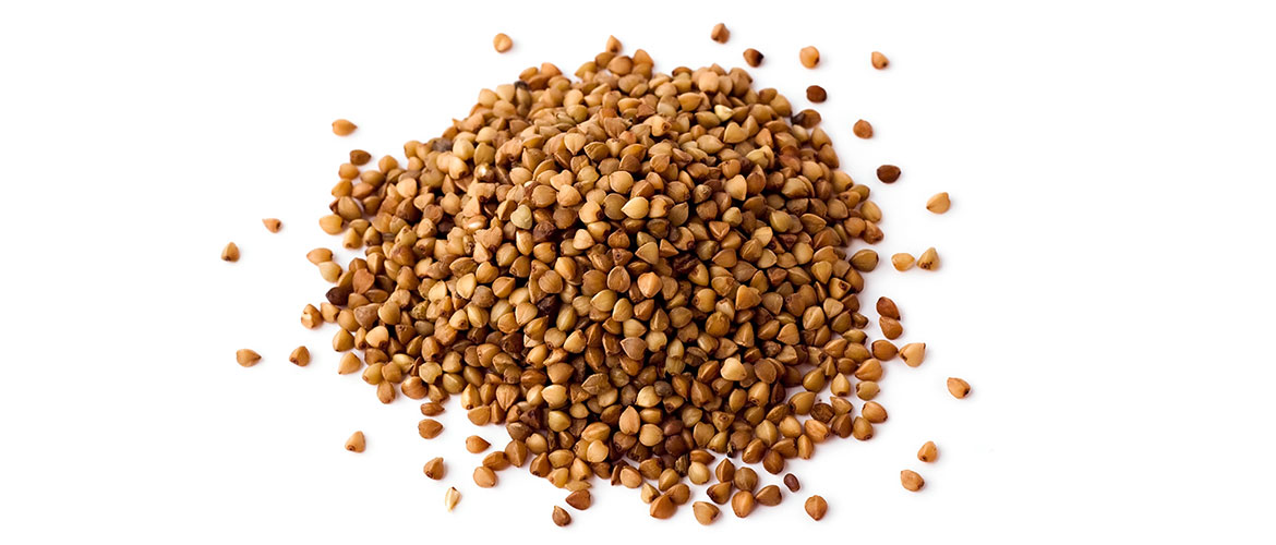 BUCKWHEAT Demos Ciclitira