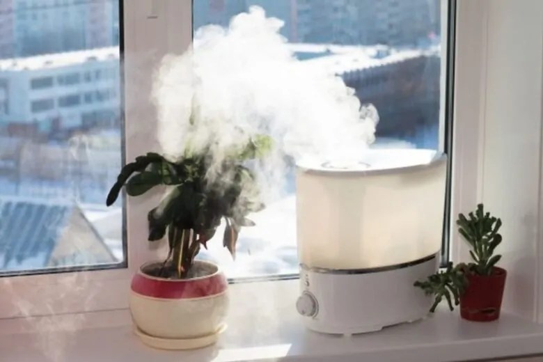 Do Humidifiers Really Work?