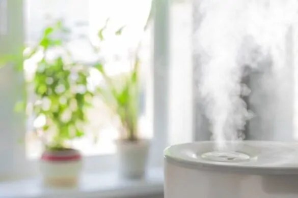 Do Humidifiers Really Work? DemotiX