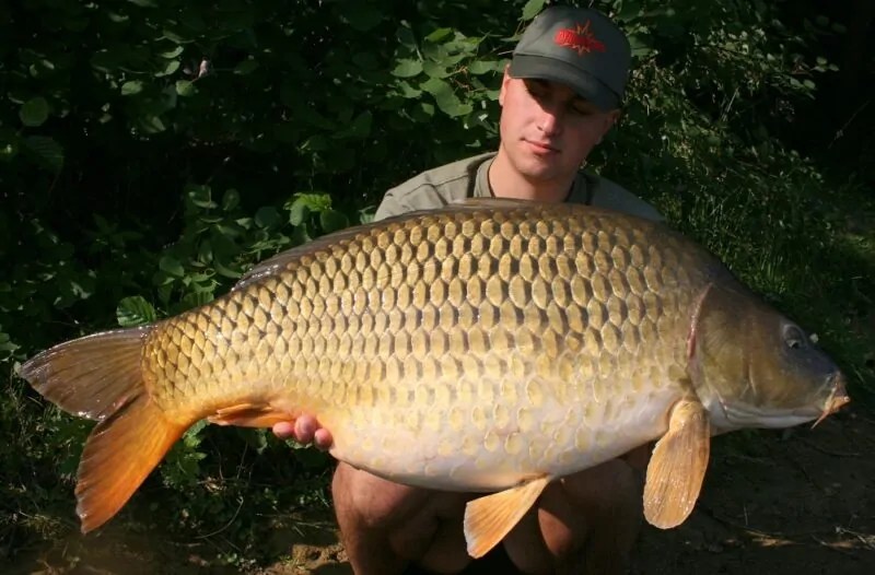Why is Carp Fishing the Most Popular Form of Fishing?