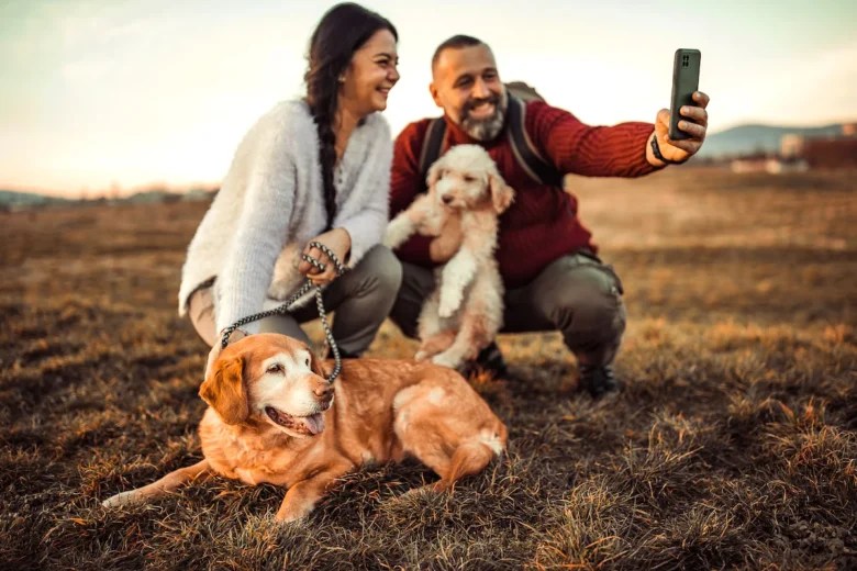 8 Amazing Dating Tips for Dog Owners DemotiX