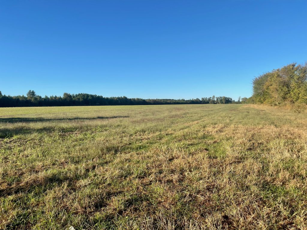 221 AC RIVERFRONT LILLINGTON, NC AUCTION SOLD Dempsey Auction Company