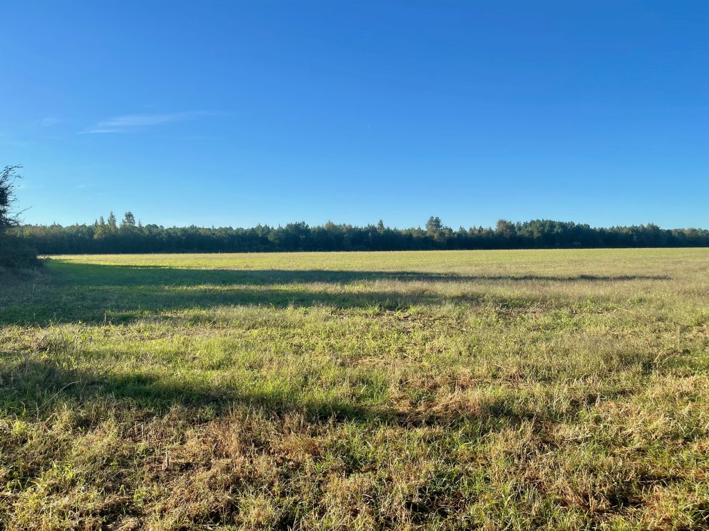 221 AC RIVERFRONT LILLINGTON, NC AUCTION SOLD Dempsey Auction Company