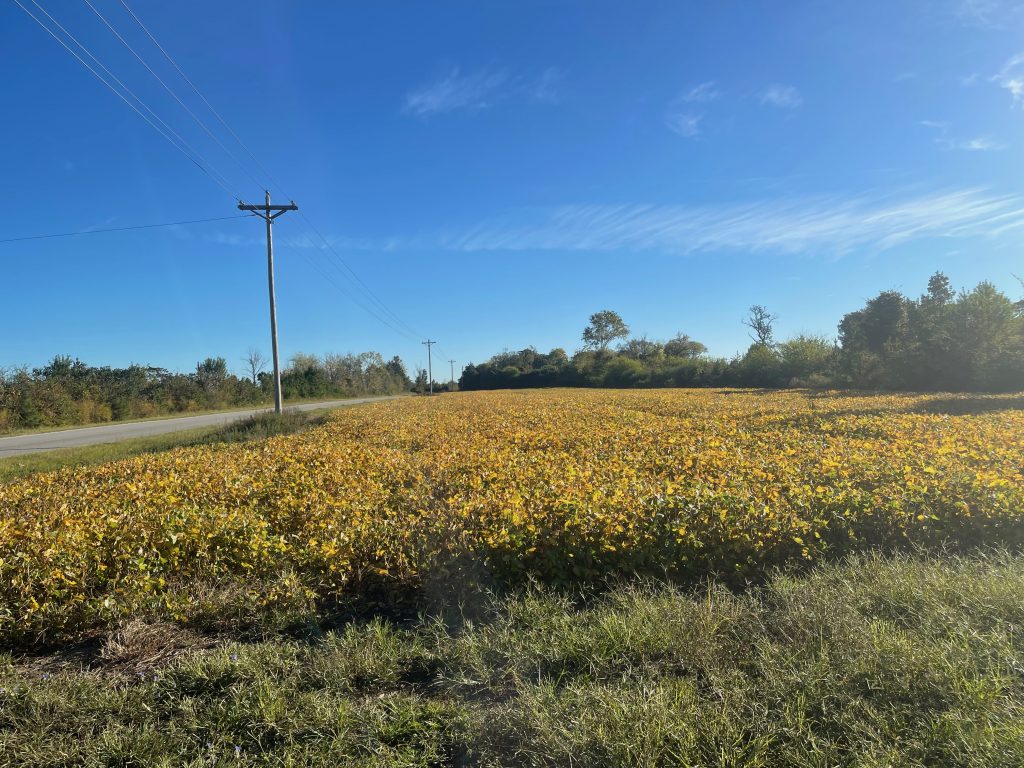 221 AC RIVERFRONT LILLINGTON, NC AUCTION SOLD Dempsey Auction Company