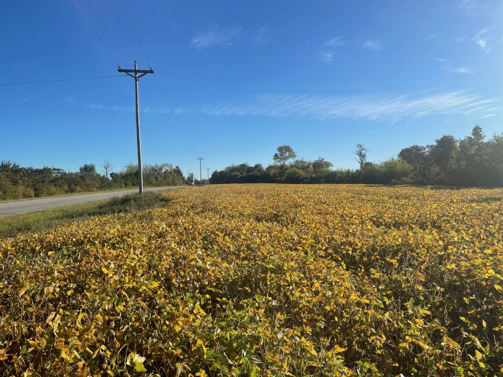 221 AC RIVERFRONT LILLINGTON, NC AUCTION SOLD Dempsey Auction Company