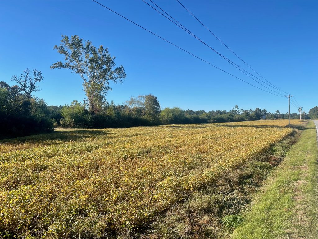 221 AC RIVERFRONT LILLINGTON, NC AUCTION SOLD Dempsey Auction Company