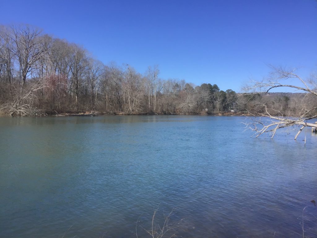 100+/ RECREATIONAL LOTS on LITTLE RIVER & WEISS LAKE CHEROKEE CO, AL