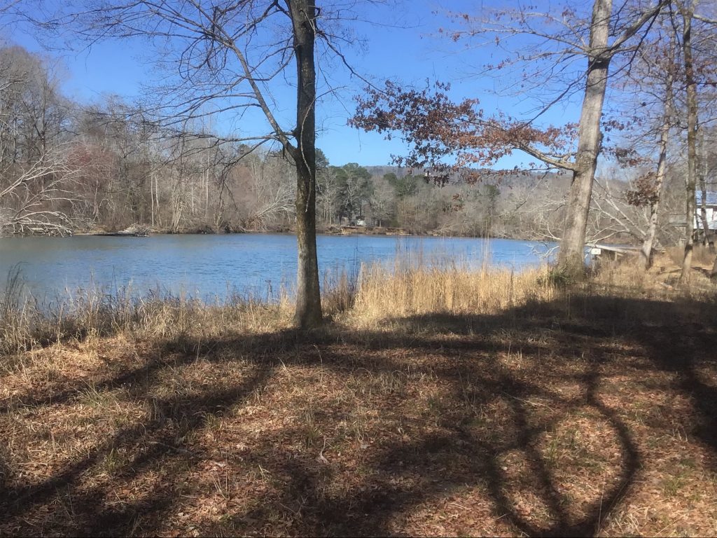 100+/ RECREATIONAL LOTS on LITTLE RIVER & WEISS LAKE CHEROKEE CO, AL