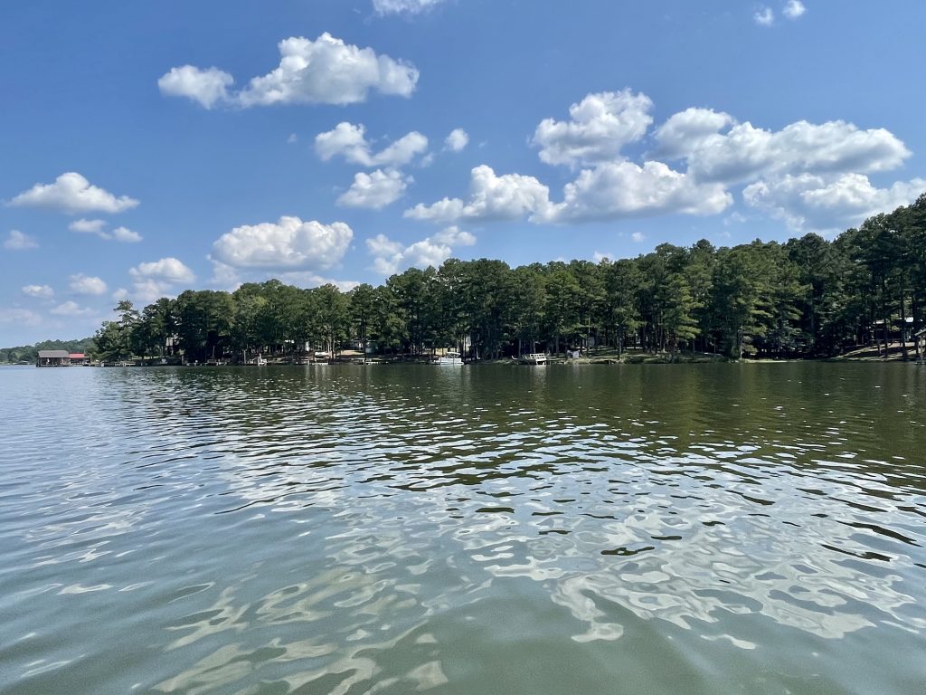 5+/ Waterfront Acres and (2) Deep Water Building Lots on Weiss Lake at