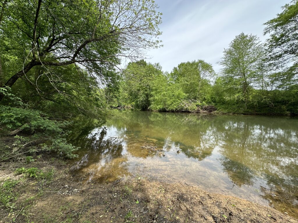 80± Acres on Terrapin Creek Piedmont, Cherokee Co, AL Absolute Estate