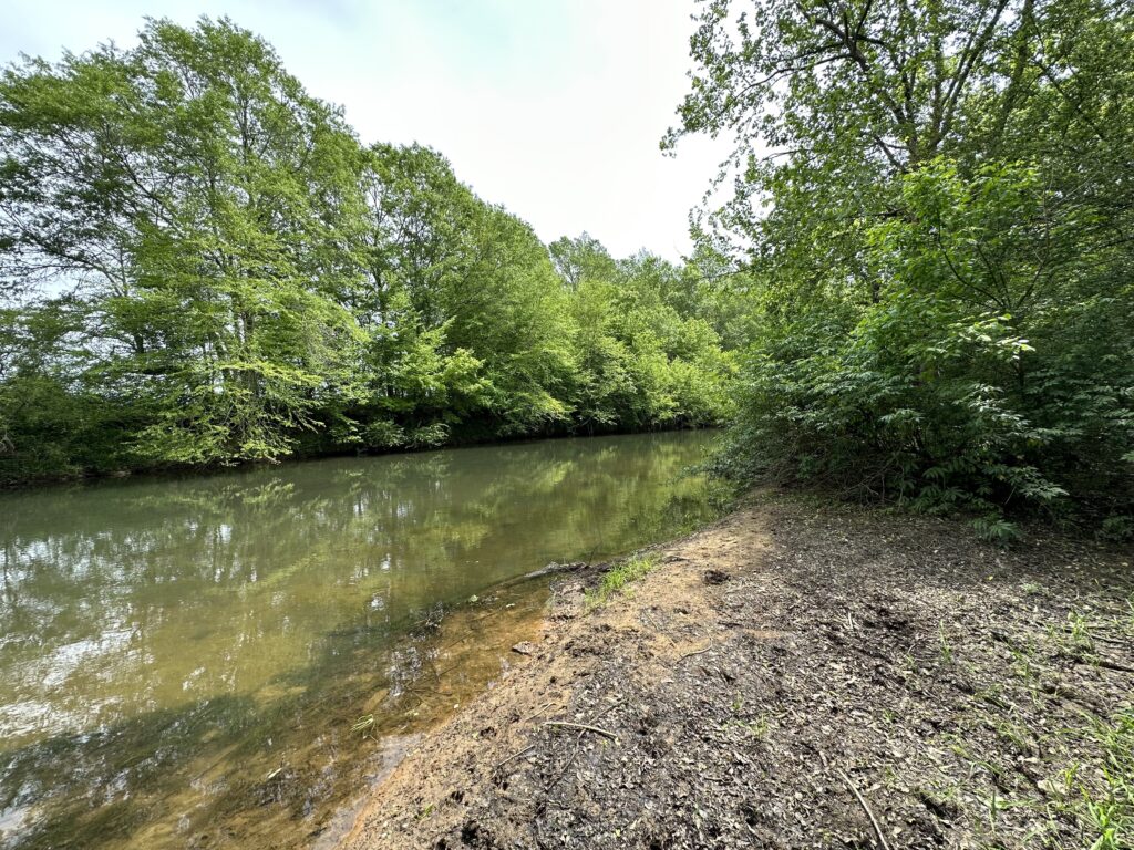 80± Acres on Terrapin Creek Piedmont, Cherokee Co, AL Absolute Estate