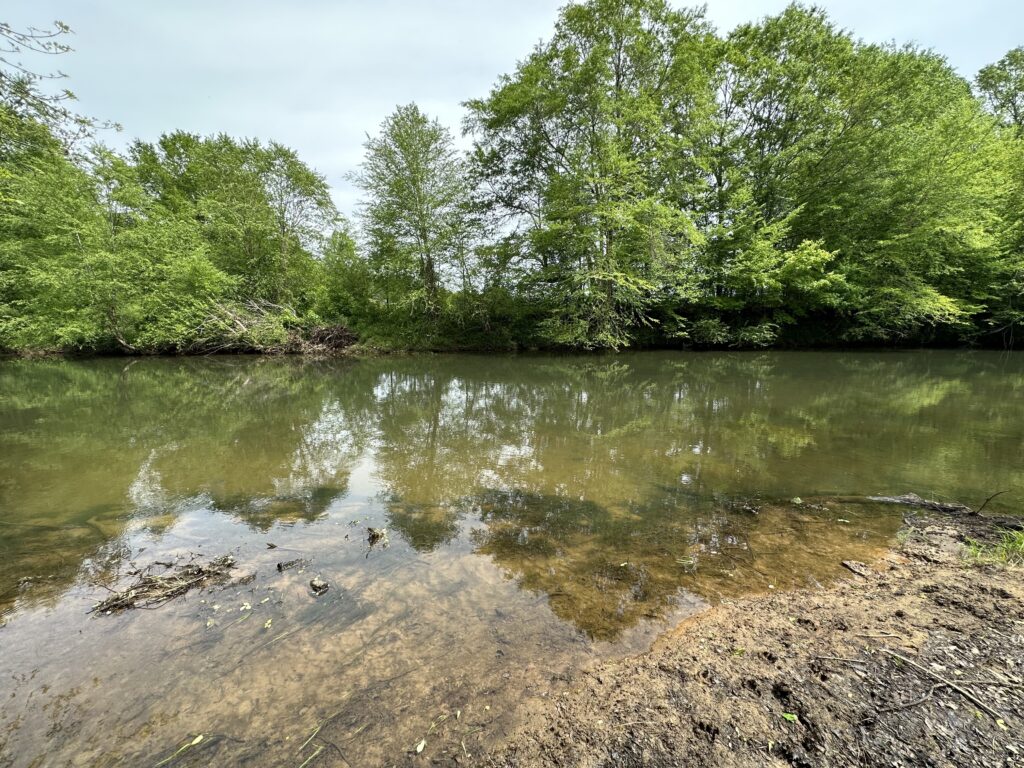 80± Acres on Terrapin Creek Piedmont, Cherokee Co, AL Absolute Estate