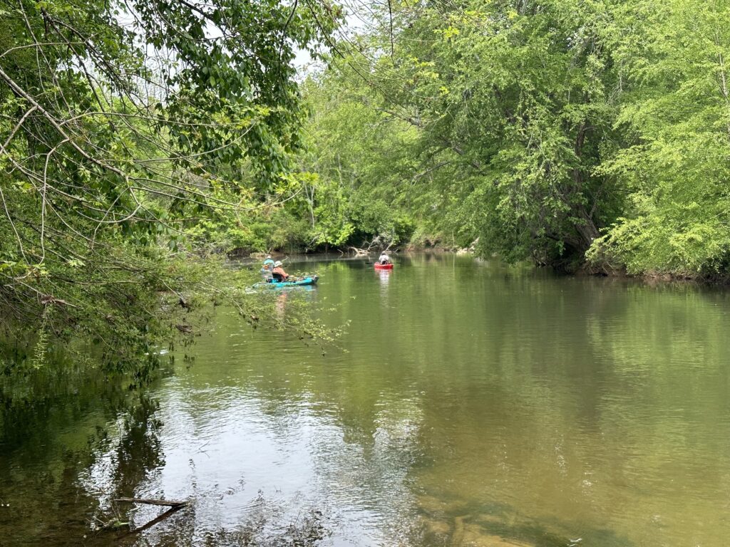 80± Acres on Terrapin Creek Piedmont, Cherokee Co, AL Absolute Estate