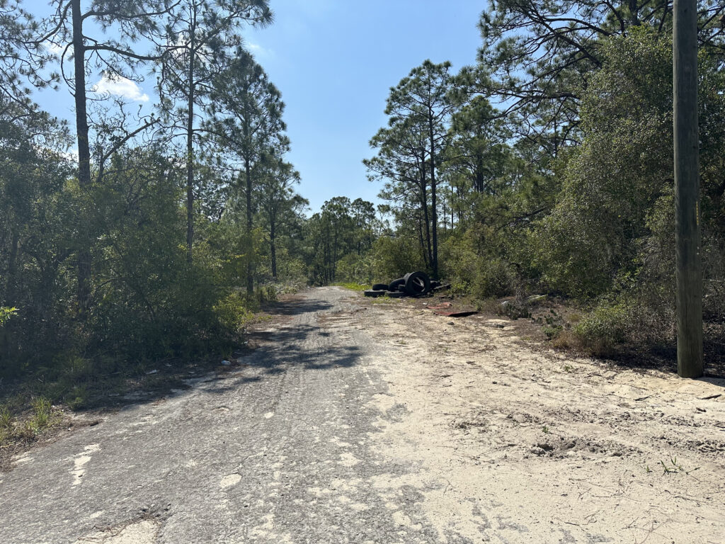 30 Undeveloped Lots Lake Placid and Sebring, Highlands County, Florida