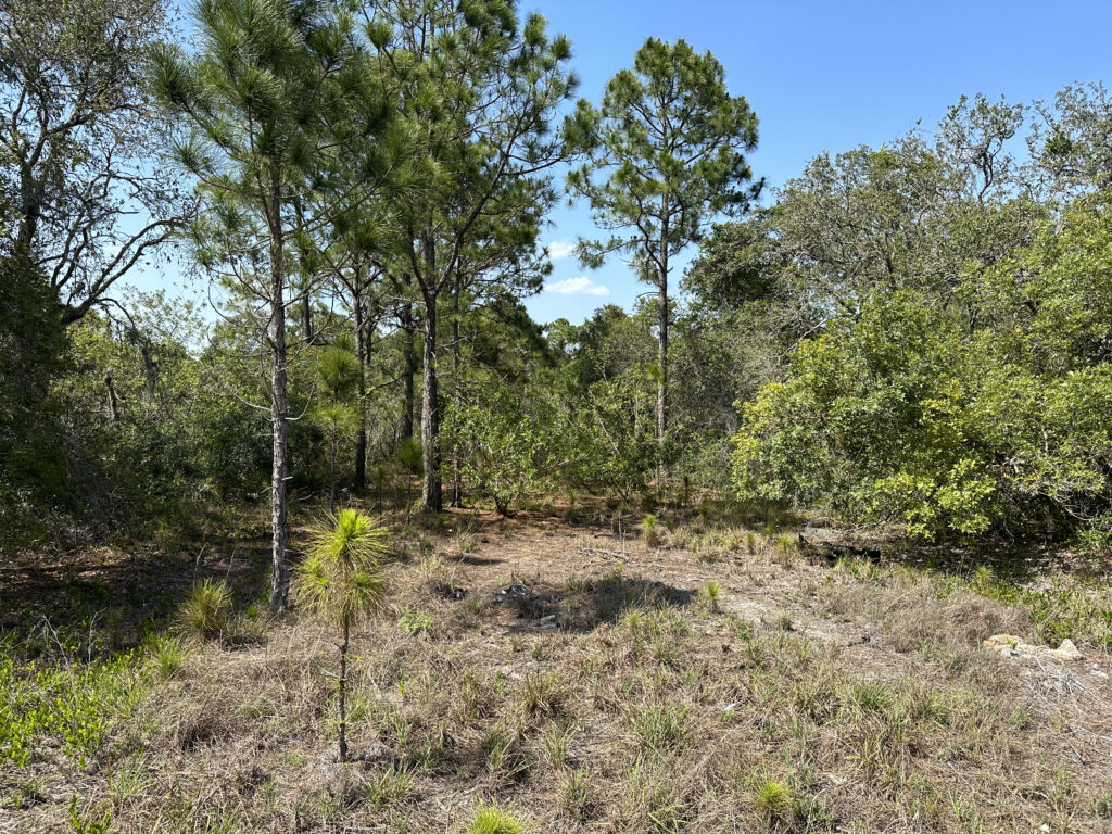 30 Undeveloped Lots Lake Placid and Sebring, Highlands County, Florida