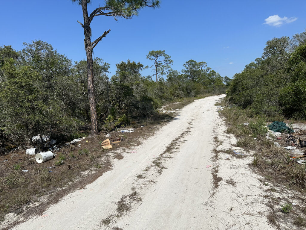 30 Undeveloped Lots Lake Placid and Sebring, Highlands County, Florida